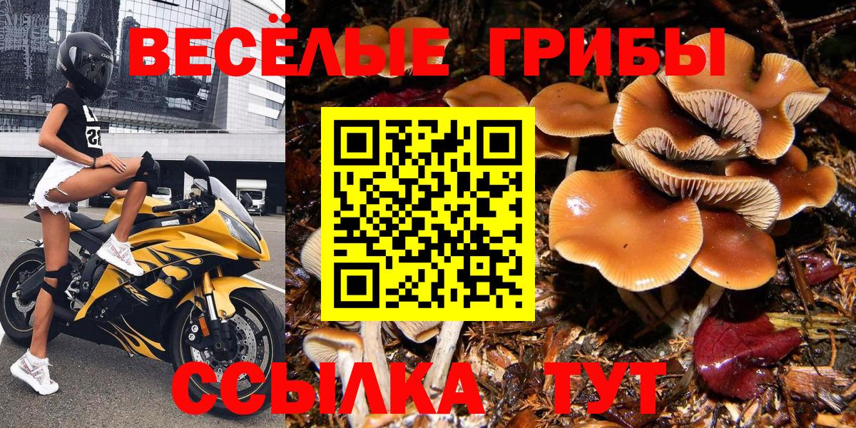 где продают наркотики  Галлюциногенные грибы ЛСД  Мурманск  Вход с VPN  Псилоцибиновые грибы Magic Shrooms 
