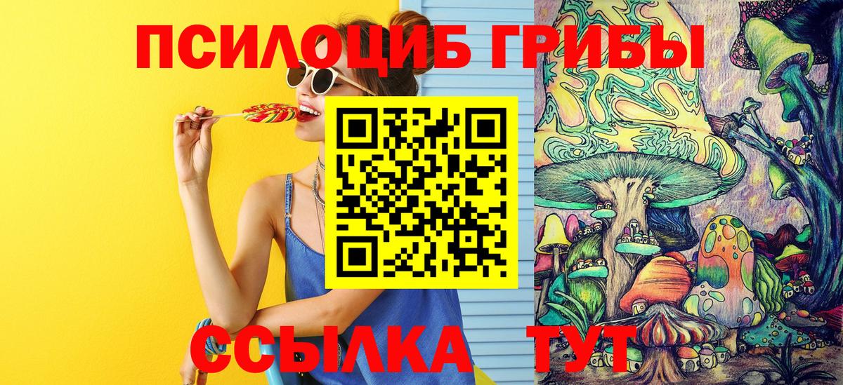 Галлюциногенные грибы мухоморы Мурманск